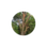 designstreefelling.co.za