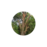designstreefelling.co.za