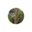 designstreefelling.co.za
